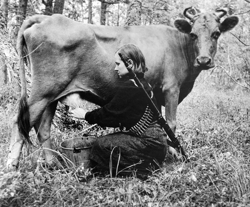 Partigiana sovietica munge una mucca